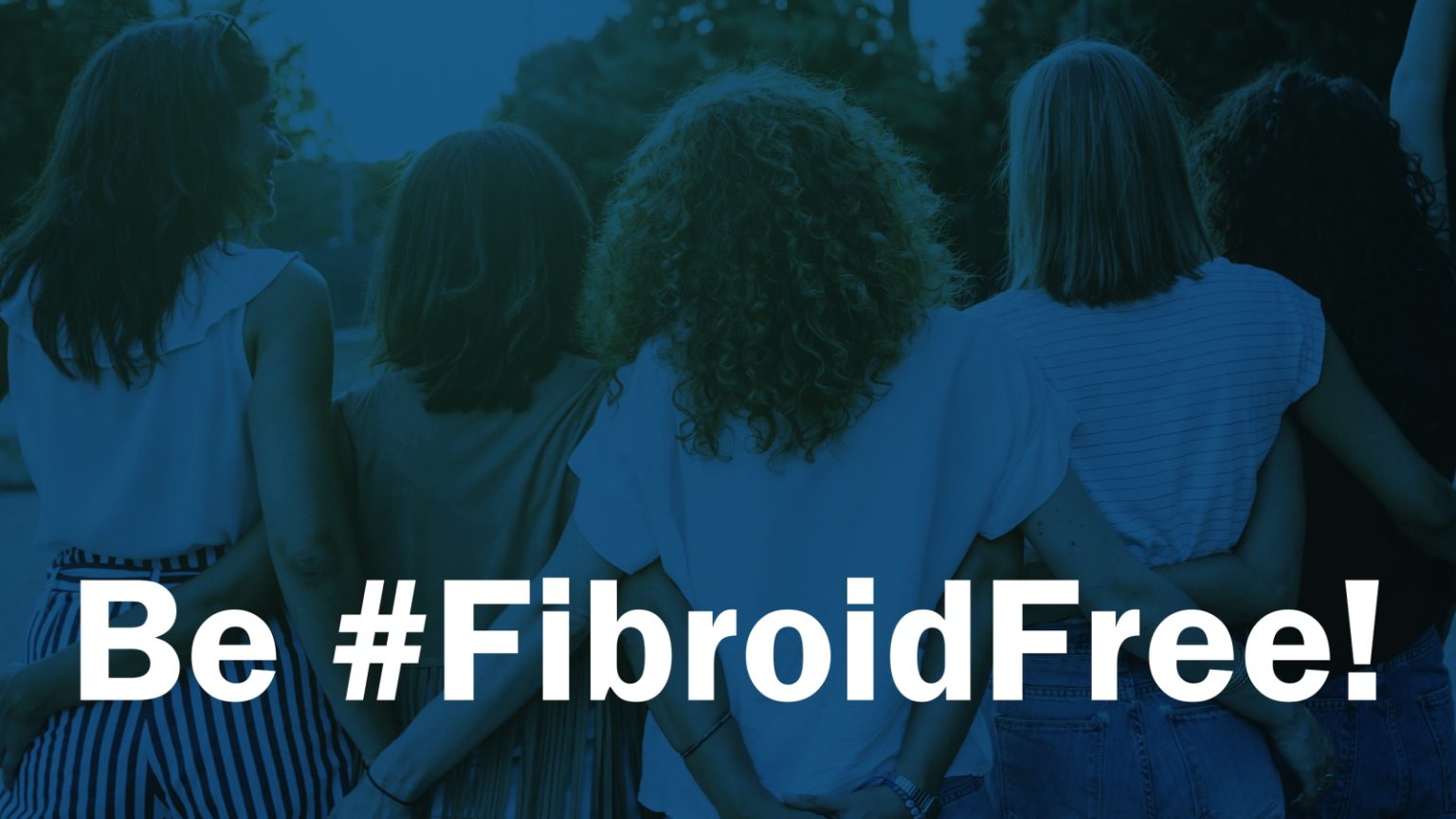 Fibroid Support main image 0